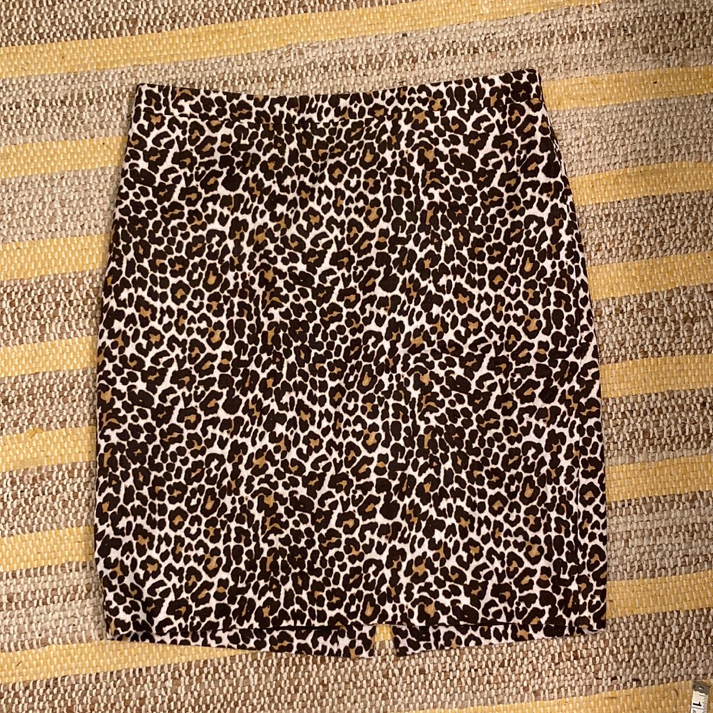 Pencil Skirt